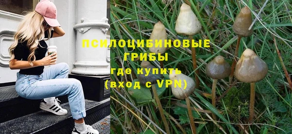 PSILOCYBIN Баксан