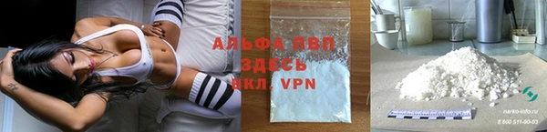 PSILOCYBIN Баксан