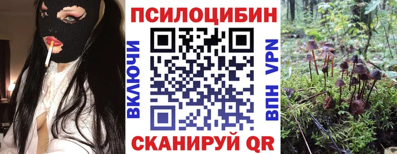 Галлюциногенные грибы ЛСД  цена наркотик  Ворсма 